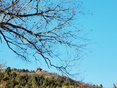 -白水寺森林公园