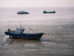 -平湖九龙山旅游度假区