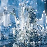 创意海洋婚礼/珂珂婚礼策划婚庆