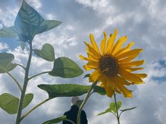 -唐咖精品咖啡(大理古城手冲店)