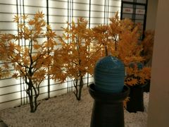 -汤里来温泉