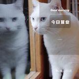 COTD｜门前生活提案·理想中美好样子咖啡生活🐈