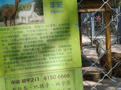 -长白岛森林公园