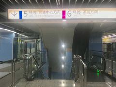 -大龙山(地铁站)