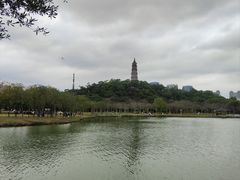 -顺峰山公园