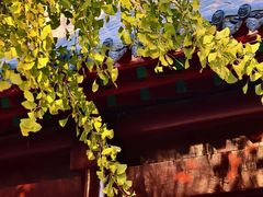 -护国法轮寺