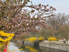 -海棠花溪(元大都城垣遗址公园)