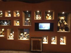 -济州岛泰迪熊博物馆