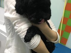 -宠颐生中康贝怡动物医院