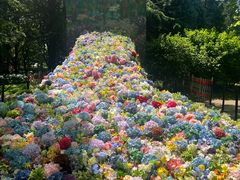 -上海共青森林公园