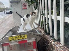 -上海市徐汇区口腔医院