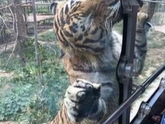 -南昌动物园
