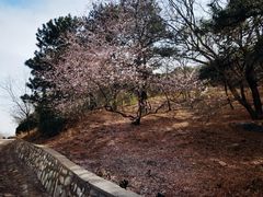 -北京西山国家森林公园