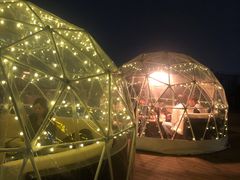 -顽啤熊·酒客酒馆(苏城夜景必选店)