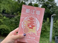 -都江堰中华大熊猫苑