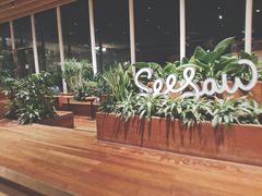 -Seesaw Coffee(朝阳大悦城店)