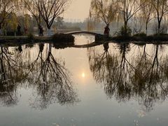-武汉园博园(武汉自然博物馆)