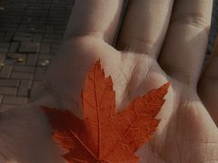 -长春公园(普阳街道)