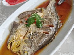 -上海新锦江大酒店