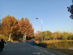-石家庄市植物园