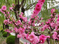 -元大都城垣遗址公园