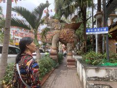 -南木湾·孔雀宴手抓饭·傣味餐厅