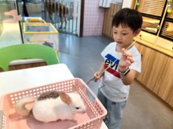 -Moni星球萌宠·小马宝莉·灵蛇·高端高阶全萌宠互动体验俱乐部(红豆国际广场店)