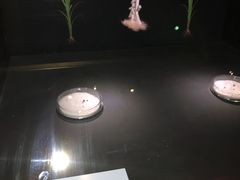 -上海崧泽遗址博物馆