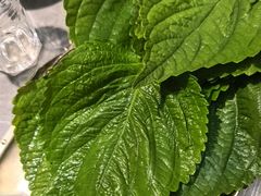 -小黑牛烤肉(聚隆店)