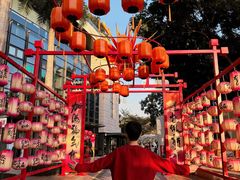 -欢乐海岸椰林沙滩-2025湾区超级灯会