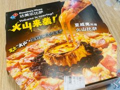 -达美乐比萨(墨玉南路店)