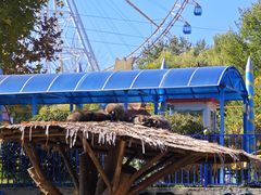 -石家庄市动物园