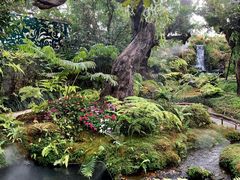 -Chom Cafe and Restaurant