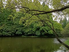 -上海共青森林公园