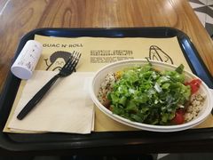 -油梨树 AVOCADO TREE(亮马桥店)