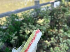 -苏州园林博物馆