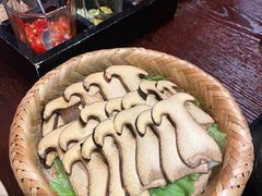 -滇野云南野生菌餐厅(陕西南路店)