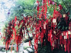 -苍山感通索道