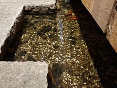 -邈墨茶馆(凤起路店)