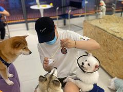 -怪兽屋·羊驼·猫咖·狗咖(俊华广场店)