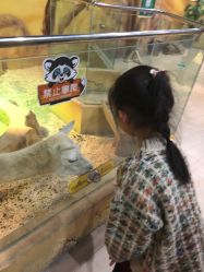 -未来动物城主题公园(正弘城店)