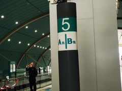 -龙阳路磁悬浮列车总站-停车场