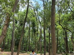 -东湖落雁景区