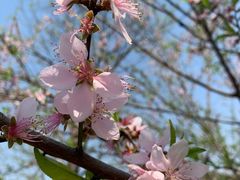 -石塘人家