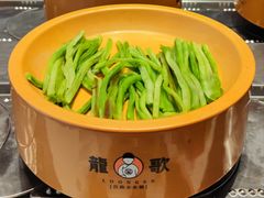 贡菜-龍歌自助小火锅(李沧顺和汇店)