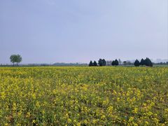 -汉长安城未央宫国家考古遗址公园