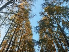 -春花秋色城市公园