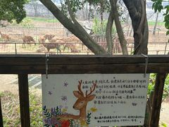 -柳州市动物园