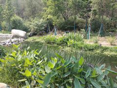 -白水寺森林公园