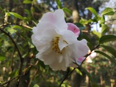 -昆明市金殿名胜区